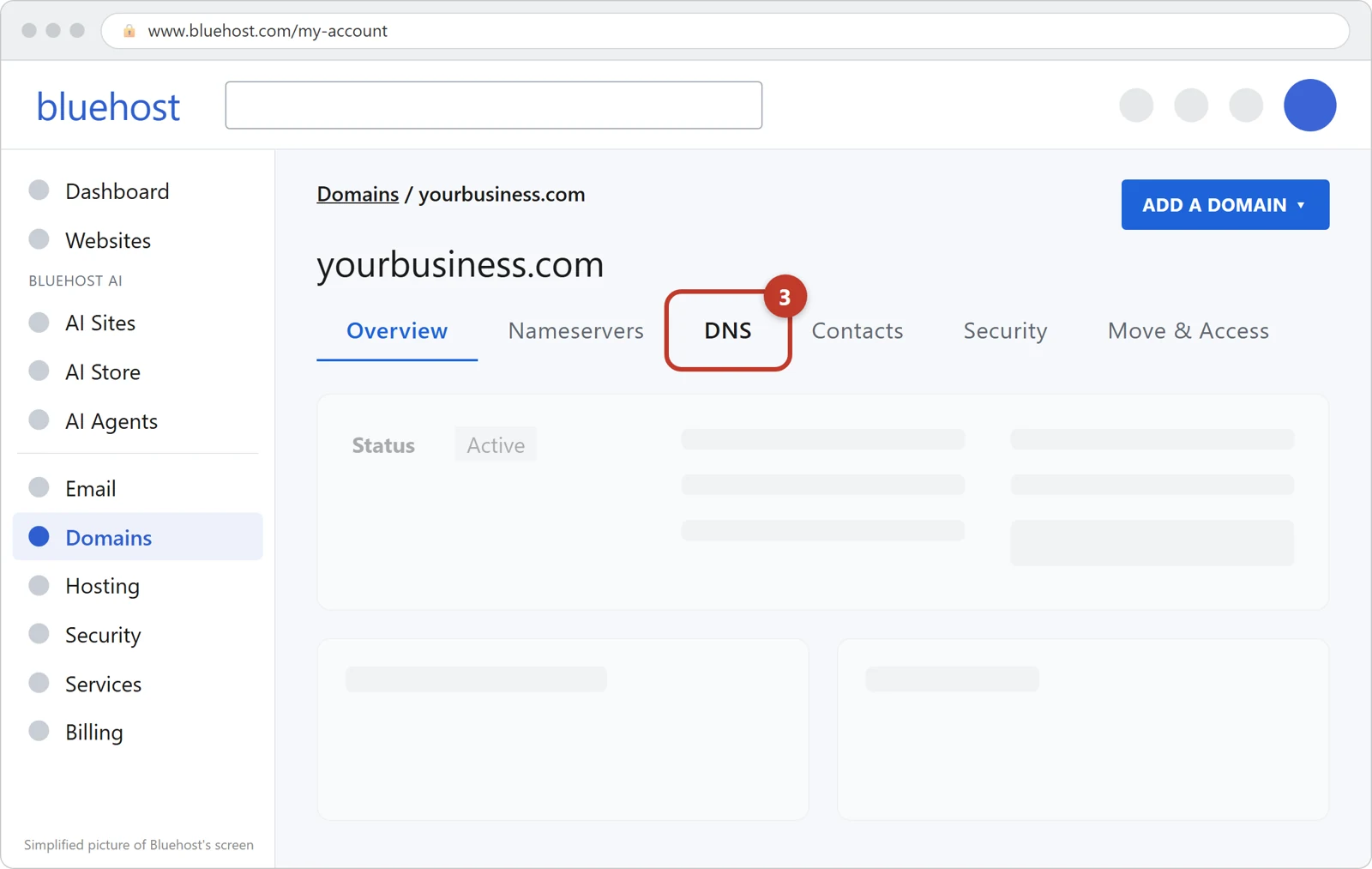 Your domain's page at Bluehost with the DNS tab circled